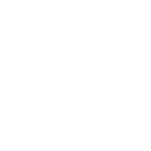 BADGER ARMY